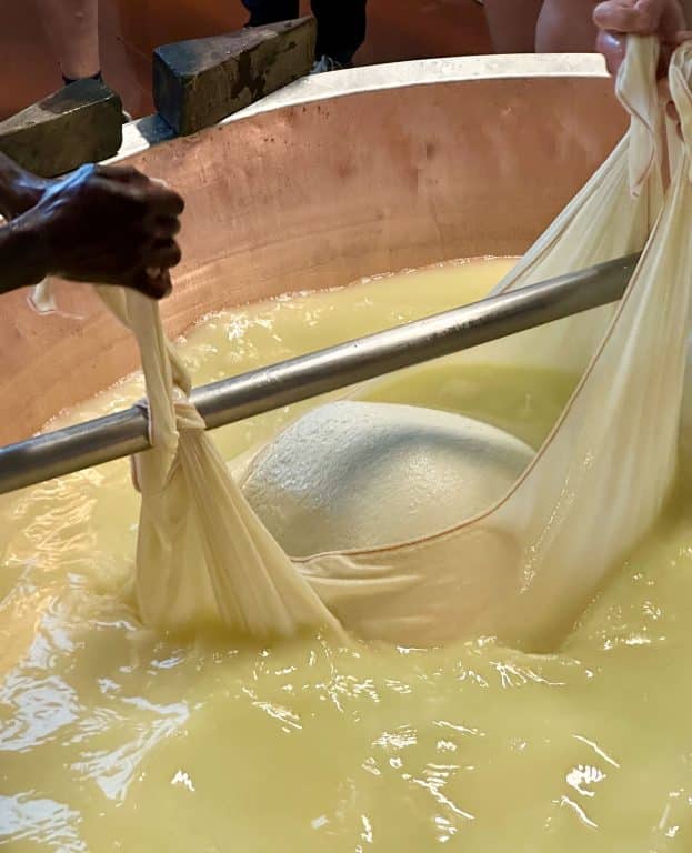 The beginning of Parmigiano Reggiano in the whey