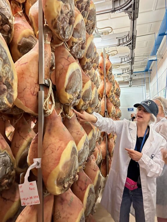 Prosciutto de Parma hanging in the aging cooler